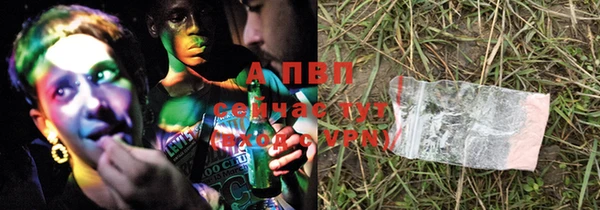 крисы Новодвинск