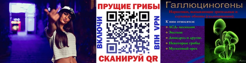 Галлюциногенные грибы Cubensis  Купить где  Орск